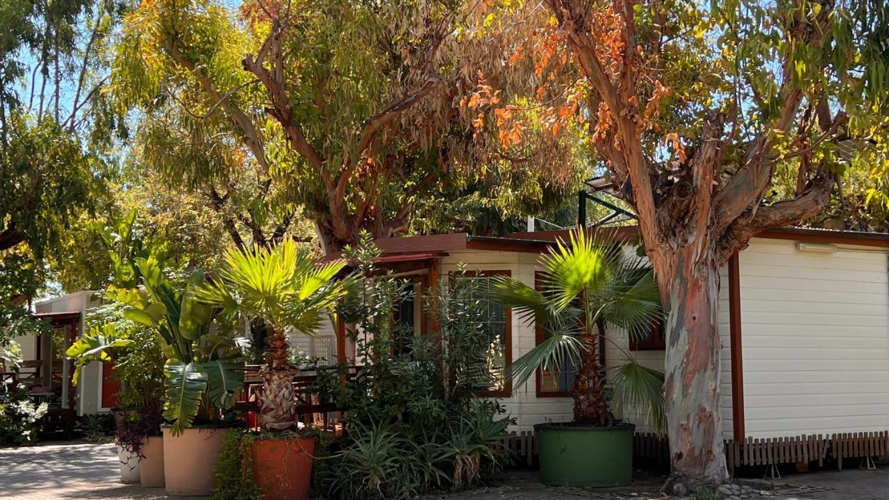 סנרמו Villaggio Dei Fiori מראה חיצוני תמונה